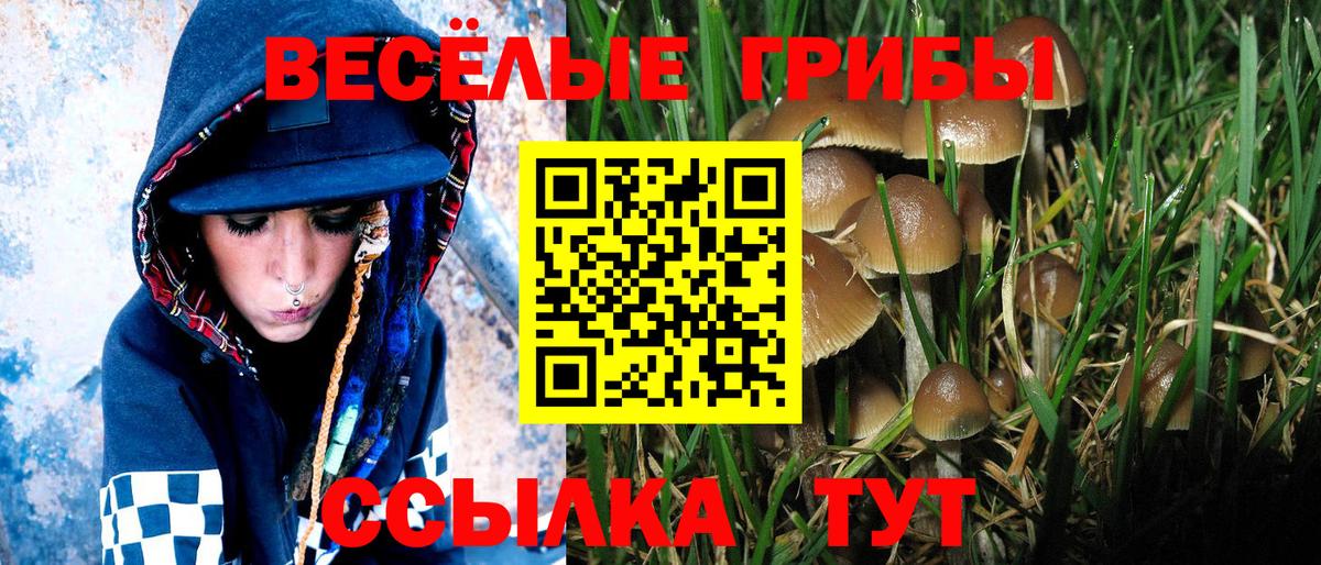 Псилоцибиновые грибы ЛСД  Вход с VPN  Фролово 