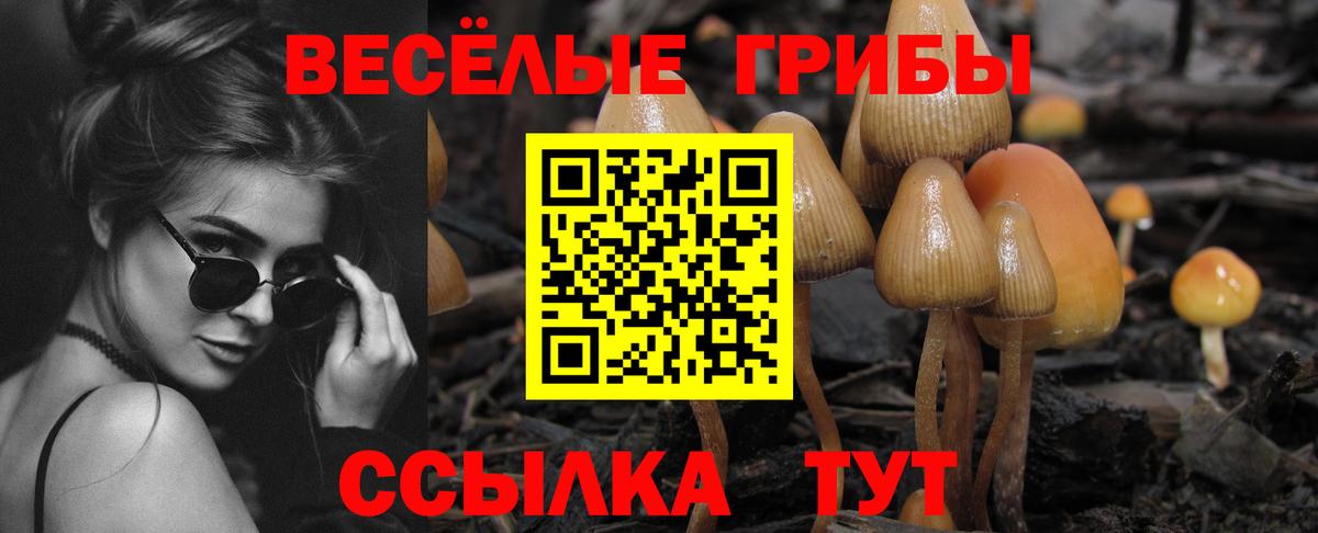 Псилоцибиновые грибы Magic Shrooms Фролово